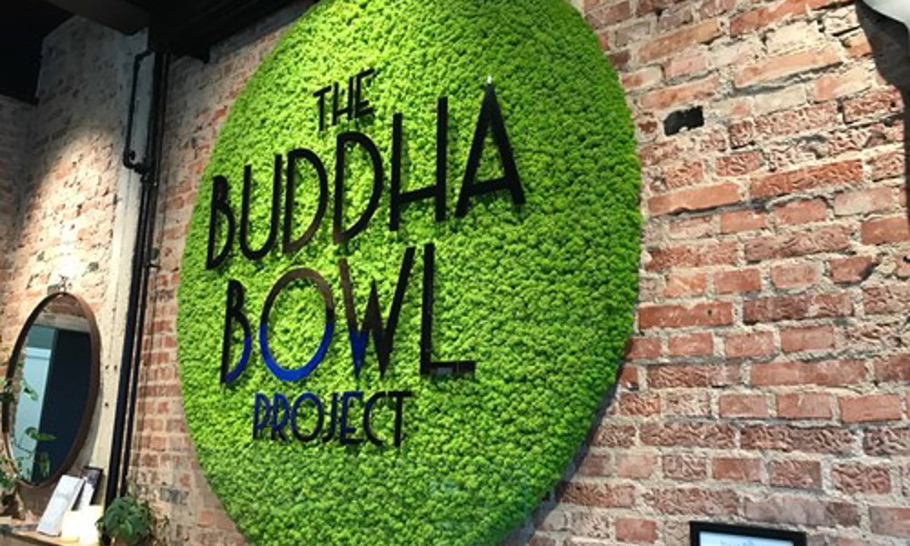 Disse kaptajn Vise dig The Buddha Bowl Project - Vejle - Green Key