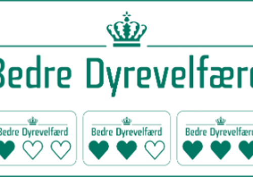 DVF_moderlogo_afrundet_grøn_1.png