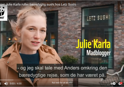 Wwfletzsushi
