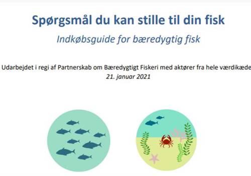Spørgsmålduskalstillesinfisk2021