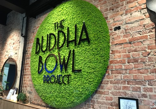 Thebigbuddabowlproject