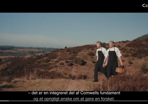 Comwellvideomadspild